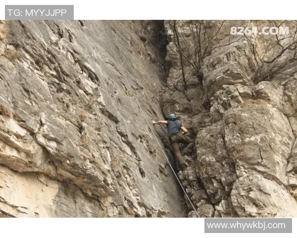 北京攀岩队心理素质排名前十的最新研究揭示攀岩成功的关键因素