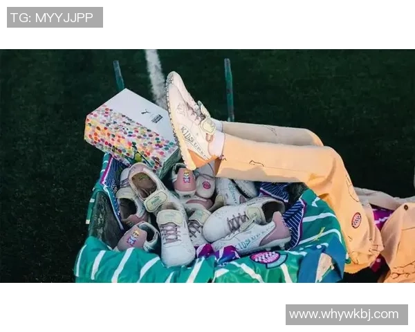 足球奇谈：探索绿茵场上的传奇故事与背后的深刻哲理