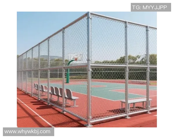 足球场围网的重要性与设计理念探讨及其对比赛安全的影响分析