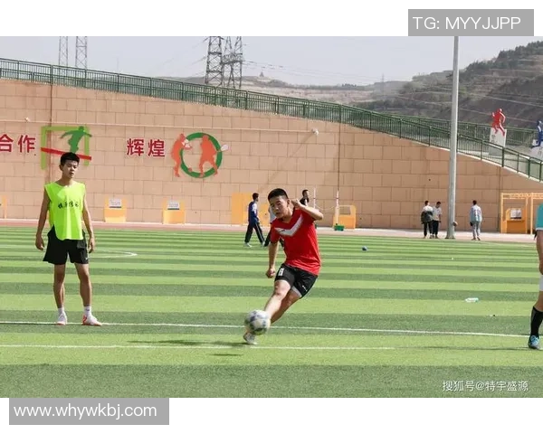 足球鸡队的传奇之路如何在绿茵场上创造辉煌与梦想